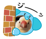 801051435