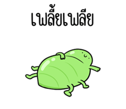 ลายที่ 7