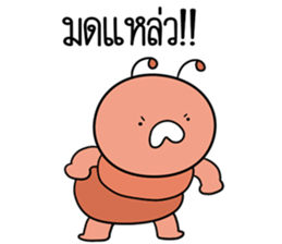 ลายที่ 11