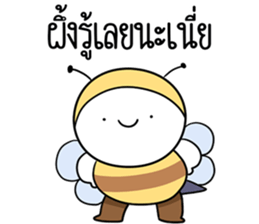 ลายที่ 23