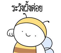 ลายที่ 29