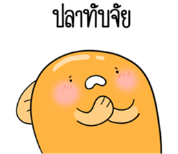 ลายที่ 37