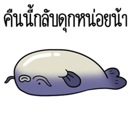 ลายที่ 41