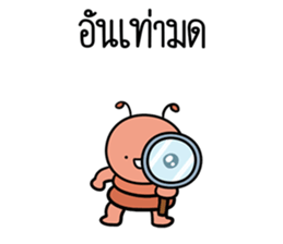 ลายที่ 43