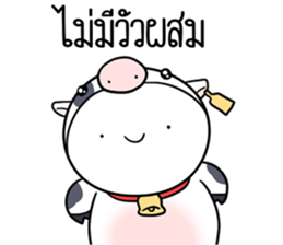 ลายที่ 45