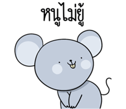 ลายที่ 49