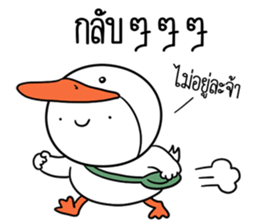 ลายที่ 51