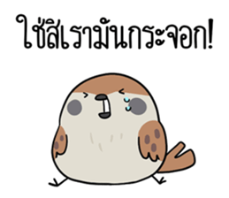 ลายที่ 59