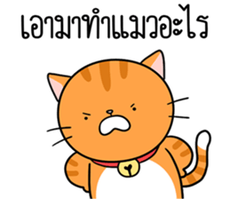 ลายที่ 65