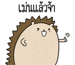 ลายที่ 75