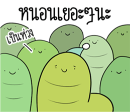 ลายที่ 79