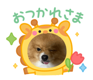 801075794