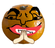 801098161