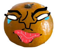 801098162
