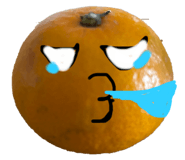 801098165