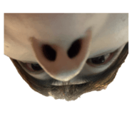 801115796