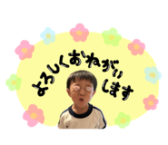 801117068