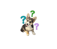 801126830