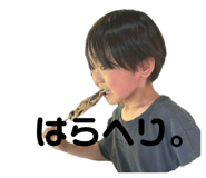 801132084