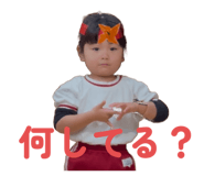 801134729