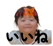 801134731