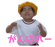 801134733