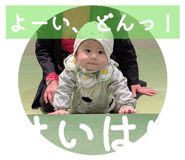 801135568
