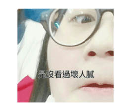 80113569