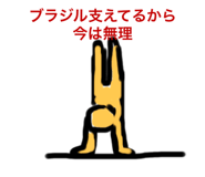 801136707