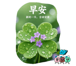 801209085
