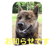 801209418
