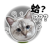 801212226