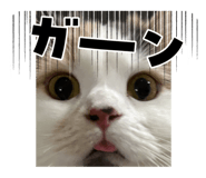 801213769