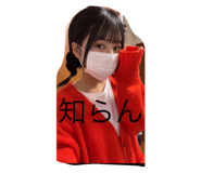 801216401