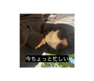 801216412
