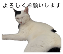 801219551