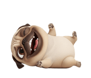 801221347