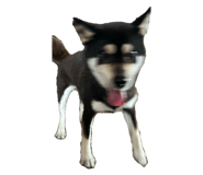 801222203
