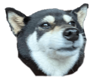801222205