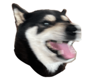 801222207