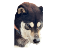 801222208