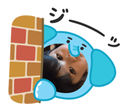 801242439
