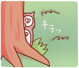 8012677