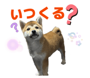 801282600