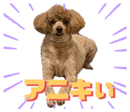 801287117