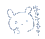 801290513