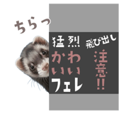 801292737