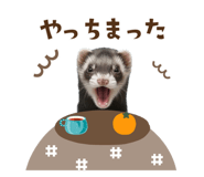801292746