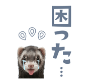 801292752