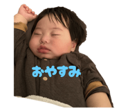 801293126